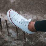 Women’s low-top Converse shoes: Great Details You Need To Know